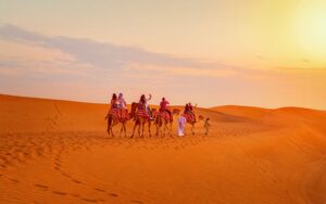 Desert-Safari