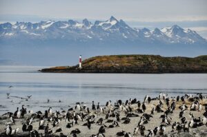 Postcard-from-Ushuaia
