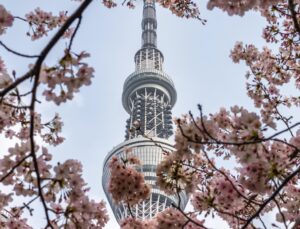 SKytree-sakura-2048x1562